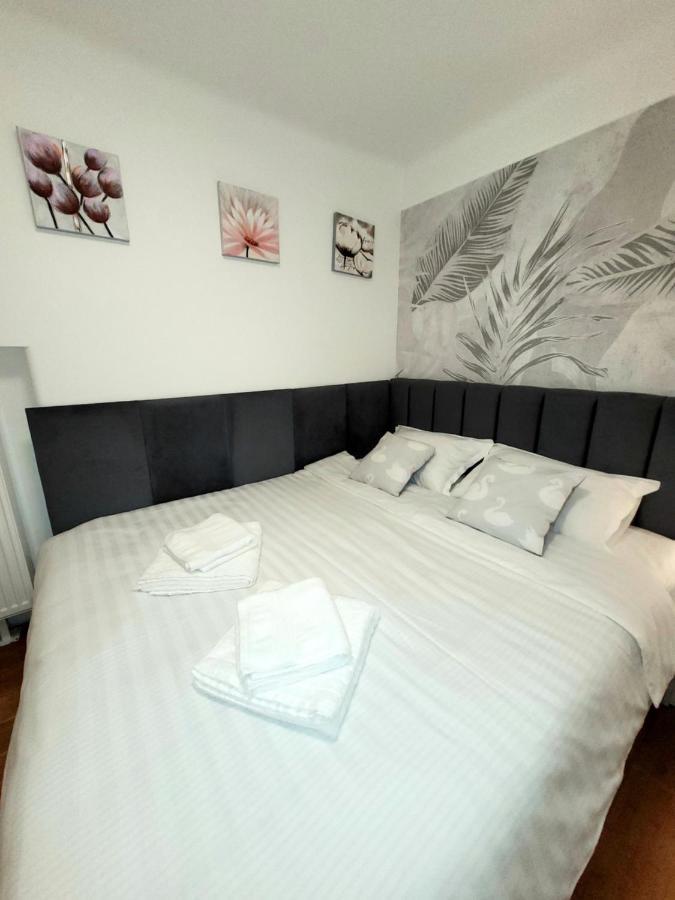Pacha Residence Тимишоара Екстериор снимка