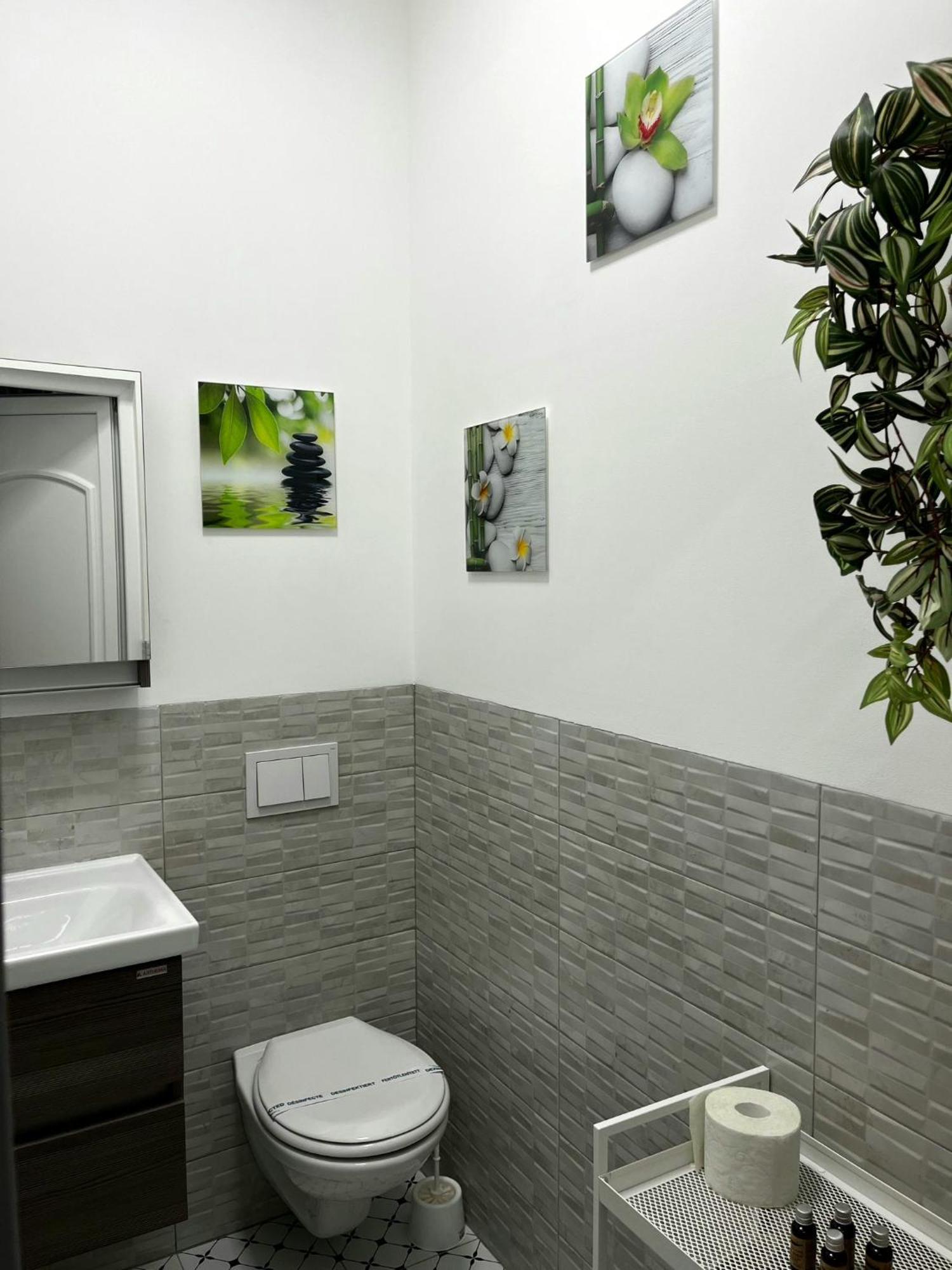 Pacha Residence Тимишоара Екстериор снимка